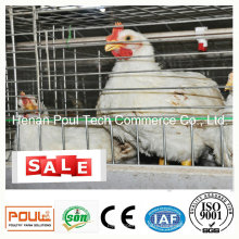 High Quality Material Meat Chicken Cage